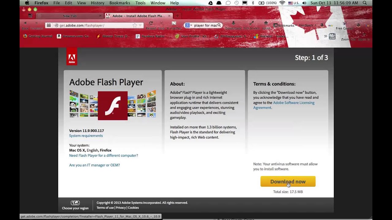 Problems With Adobe Flash Player For Mac